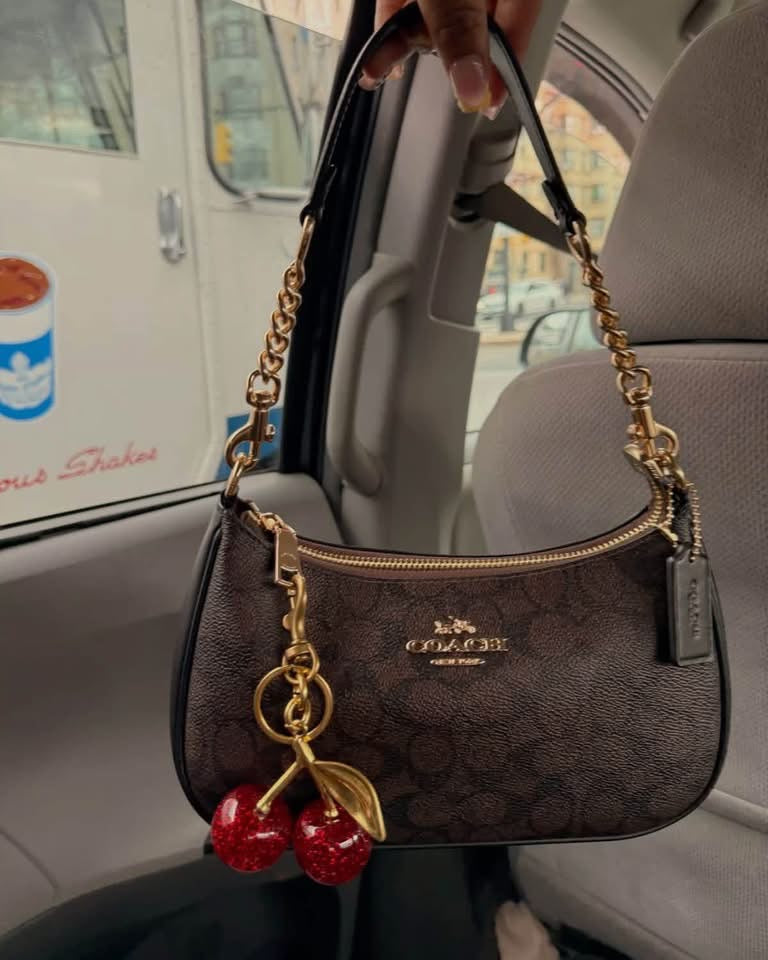 Coach Shoulder Bags